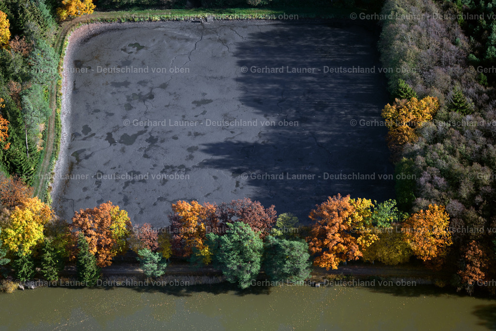 3808095 | Herbstliche Bäume an den Fischteichen bei Adelsdorf