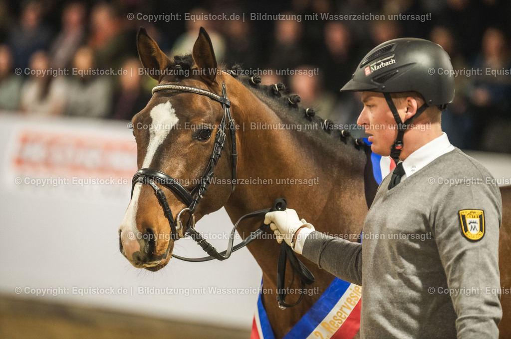20240302_Hengstvorstellung_Marbach_TOMsPiC_0476 | equistock