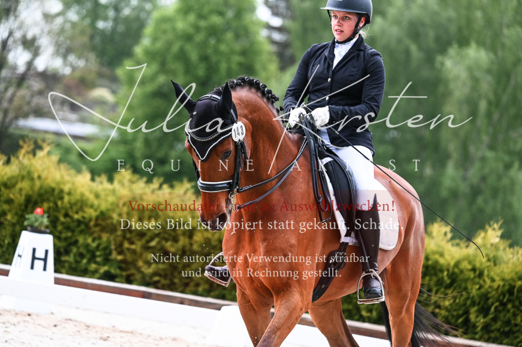 DSC_4387 | Pferde- und Turnierfotografie in Westsachsen. Pferdeportraits, Auftragszeichnungen und intuitive Kunst.