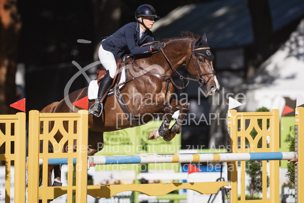 230908_OWLCh_AmateurL-317 | Deine schönsten Turniermomente als professionelle Fotos! Entdecke hochwertige Pferdesport-Fotografie im Online-Shop. Jetzt Fotos finden & bestellen!