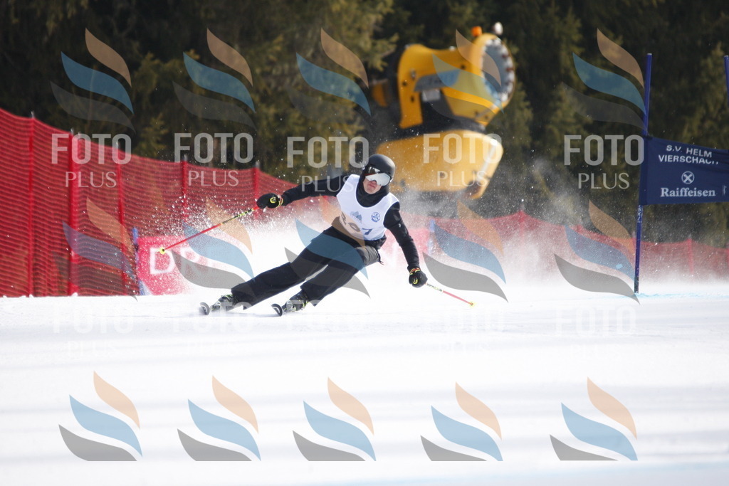 D8141 | holidayphoto