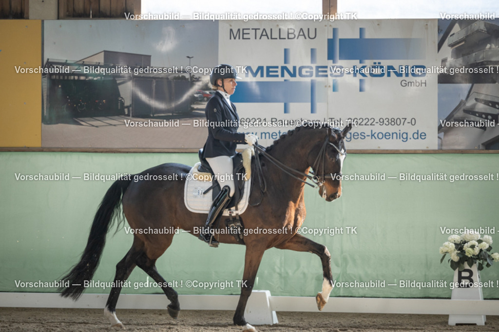 _D5A2972 | Emotionale Pferde- & People-Fotografie rund um Heidelberg, Leimen & Umgebung. Natürliche Fotos von Pferd, Mensch & Familie. Jetzt Termin sichern!