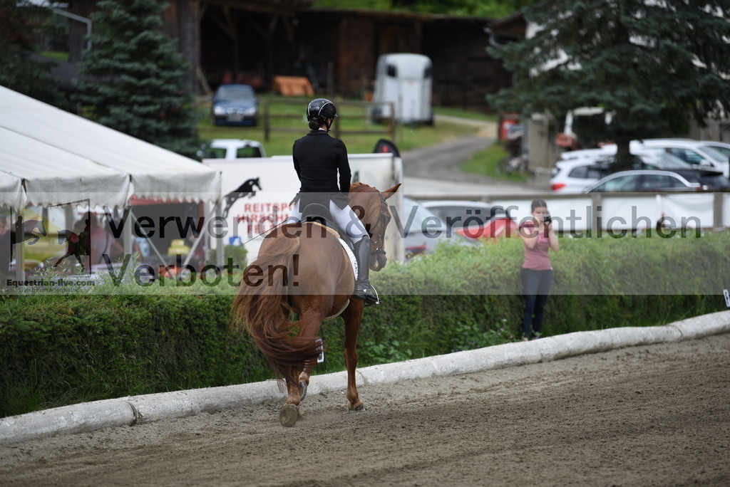 DSC_3622 | equestrian-live-com