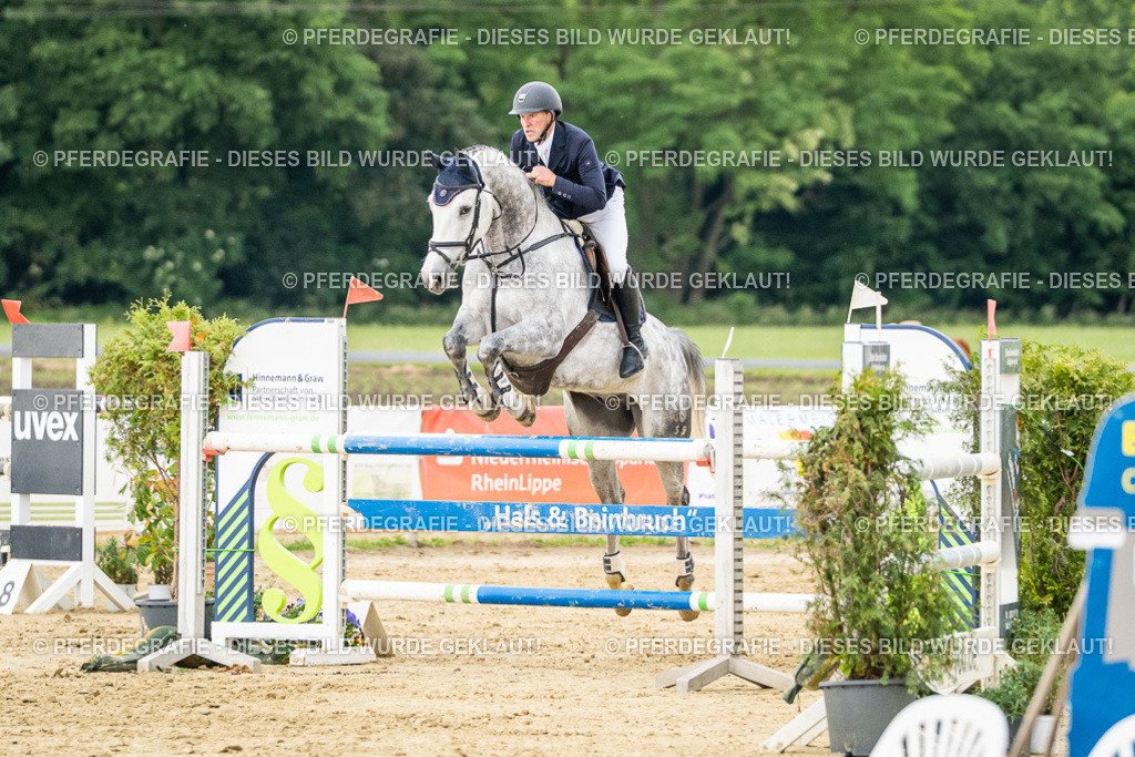 DSC06878 | Pferdegrafie