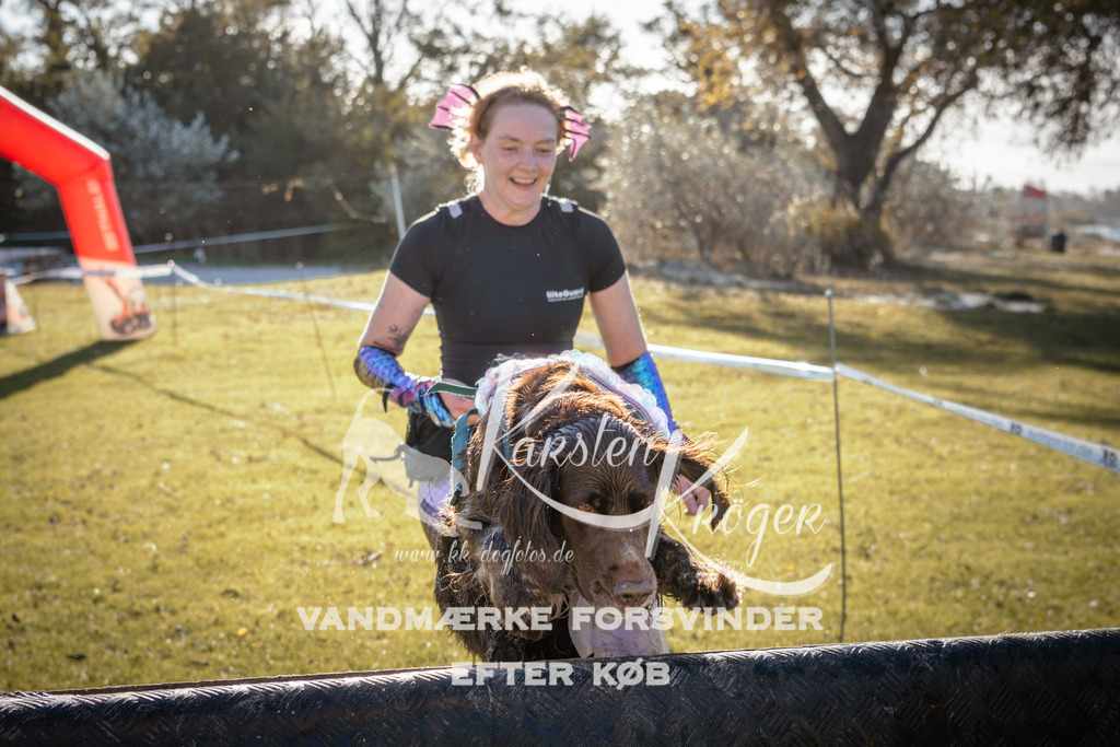 1017_ZZ90191 | kk-dogfotos