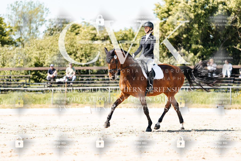 CK905154 | Turnierfotografie Pferdefotografie Trier Rheinland-Pfalz Pferdesport Reitsport Tierfotografie Sportfotografie Pferdevideo Pferdevideografie Equestrianvideography equestrianphotography  - Realisiert mit Pictrs.com