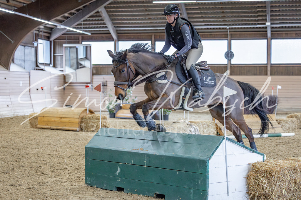 20260221-_3LI0512 | Tierfotografie Pferde, Hunde, Katzen, Haustiere.
Turnierfotografie Reitturniere, Reiten, Springreiten, Dressur in Hanau, dem Main-Kinzig-Kreis und dem Rhein-Main- Gebiet um Frankfurt