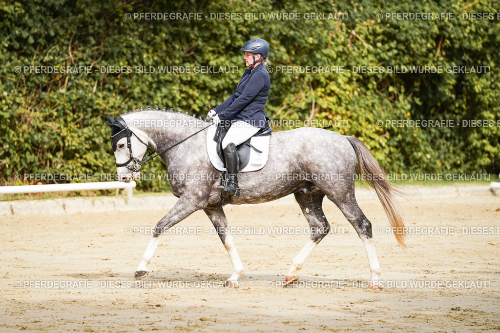 DSC01663 | Pferdegrafie