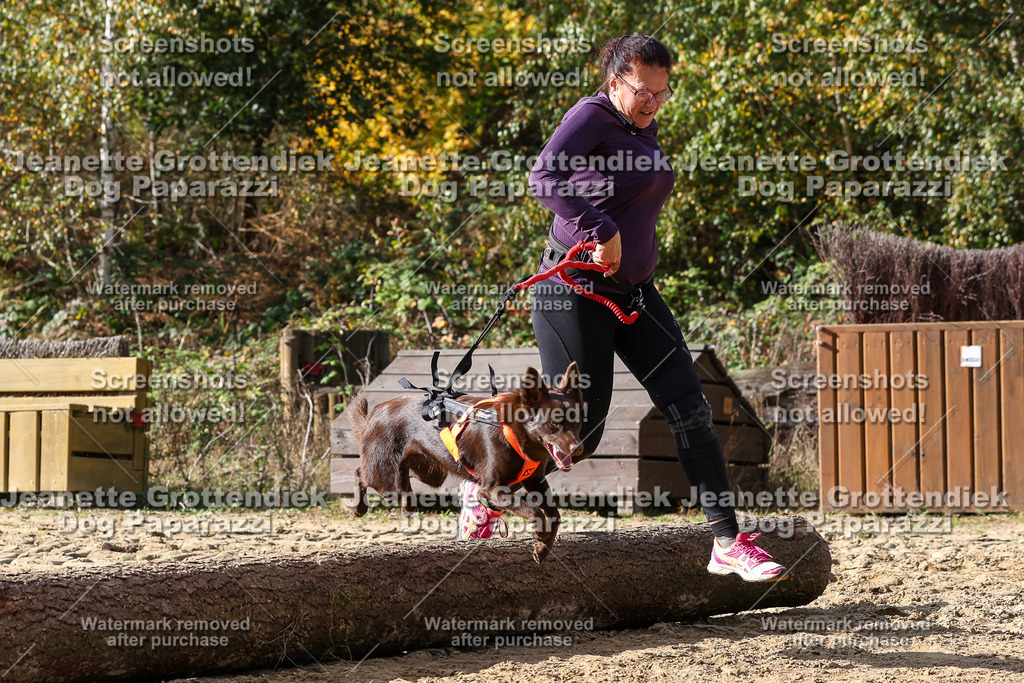 Dog Paparazzi - Strongdog 10-25-5690 | Dog Paparazzi Jeanette Grottendiek Fotografie & Videografie - Realisiert mit Pictrs.com