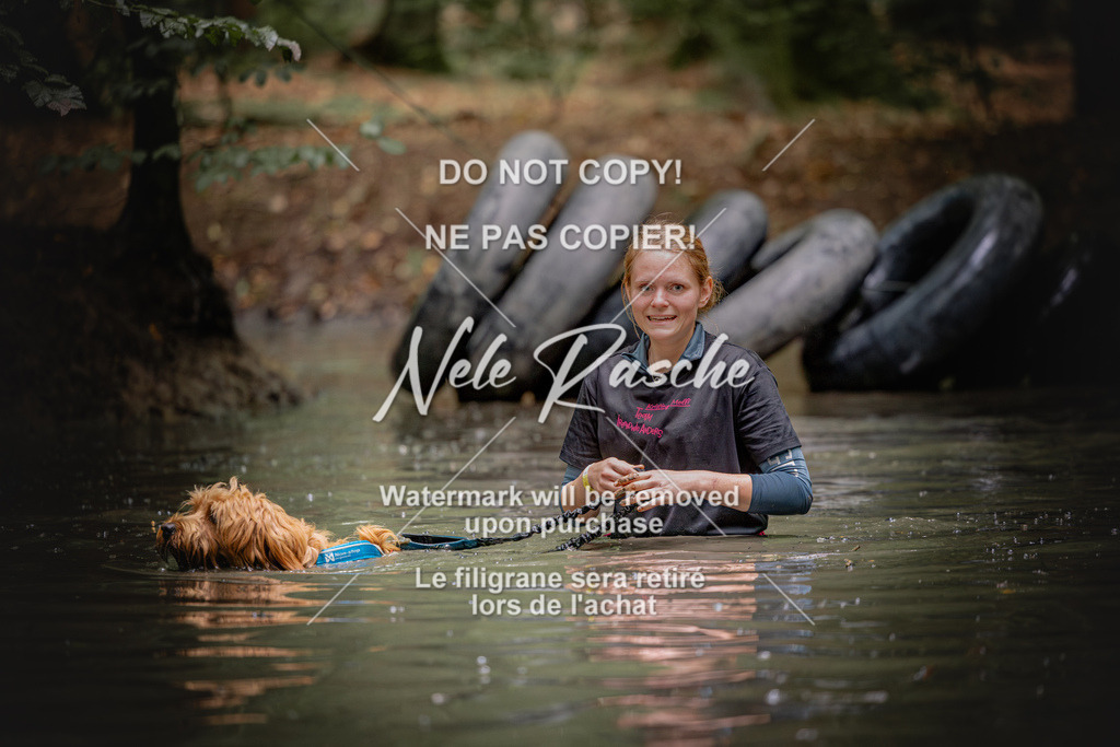 nelerasche_SaWingst1530-1600_137 | nelerasche