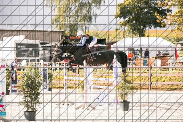 _W6A3031 | ronjaprokoschfotografie - Realisiert mit Pictrs.com