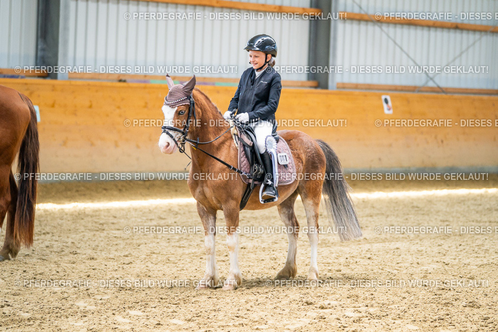 DSC03083 | Pferdegrafie