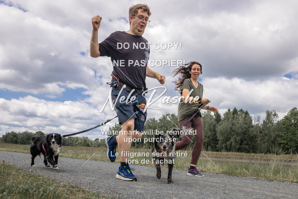 nelerasche_BuHu2026_SaCC1100-1200_170 | nelerasche