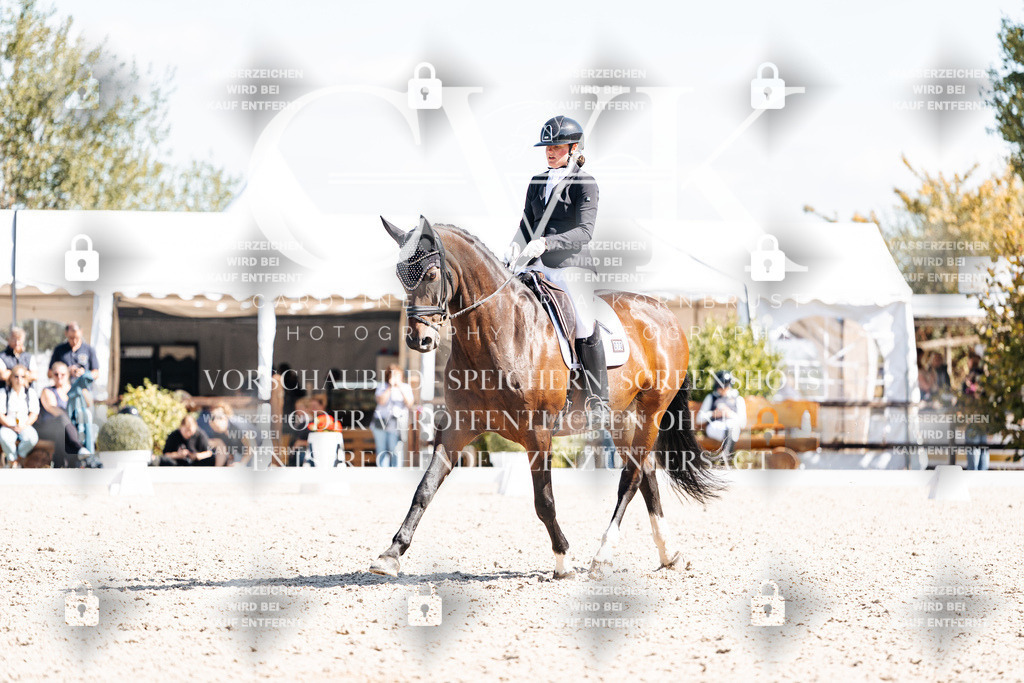 CK903393 | Turnierfotografie Pferdefotografie Trier Rheinland-Pfalz Pferdesport Reitsport Tierfotografie Sportfotografie Pferdevideo Pferdevideografie Equestrianvideography equestrianphotography  - Realisiert mit Pictrs.com