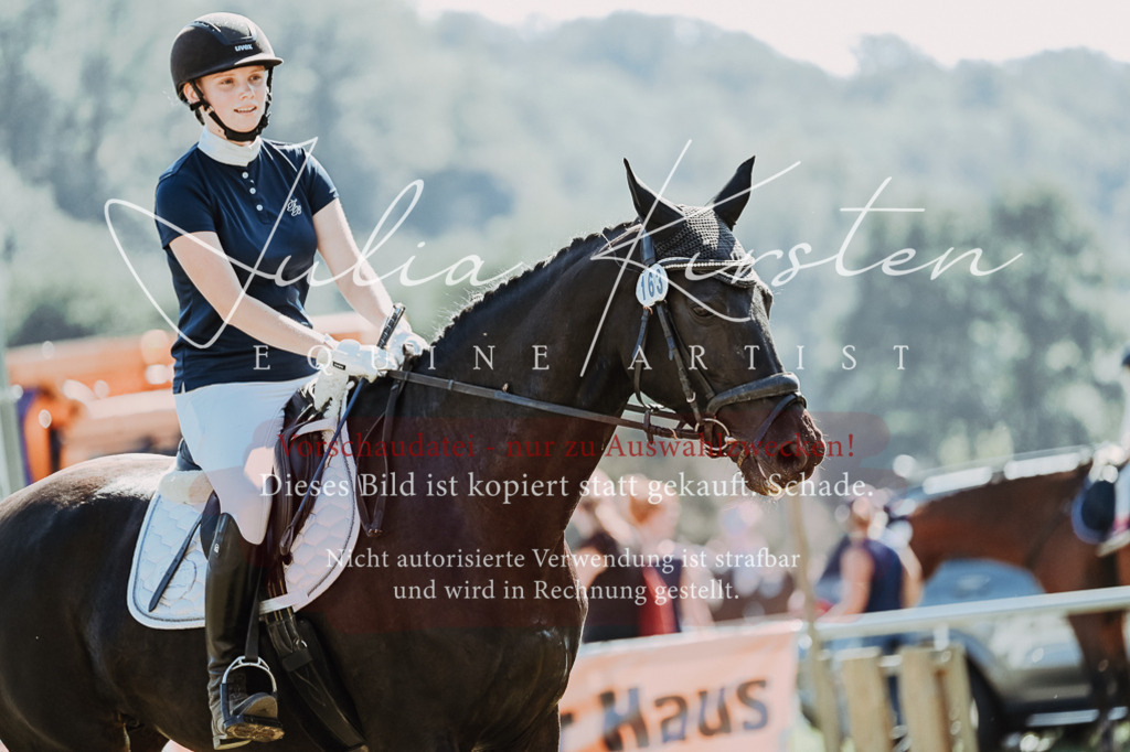 DSC_6621 | Pferde- und Turnierfotografie in Westsachsen. Pferdeportraits, Auftragszeichnungen und intuitive Kunst.
