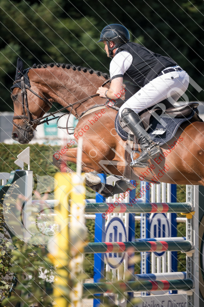 DSC_3355 | Sport-, Event- und Tierfotos in Profiqualität. Einfach auswählen, bestellen und herunterladen. Dein Moment – perfekt festgehalten.