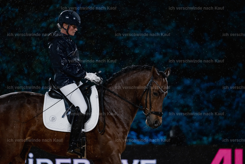 FHClassics-69 | working equitationturnier fotograf videograf stoibphotography marixx film working equitation deutschland reitsport turnierfotografie eventfotografie equestrian events