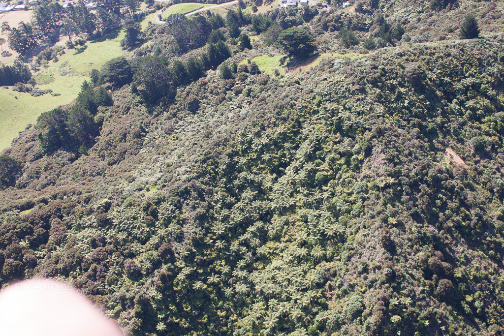 Luftbild: Ortsansicht in Coromandel im Bundesland Waikato in Neuseeland. Foto: IMG_55780.jpg vom 12.01.2013 durch Werner Riehm/FLY-FOTO.de