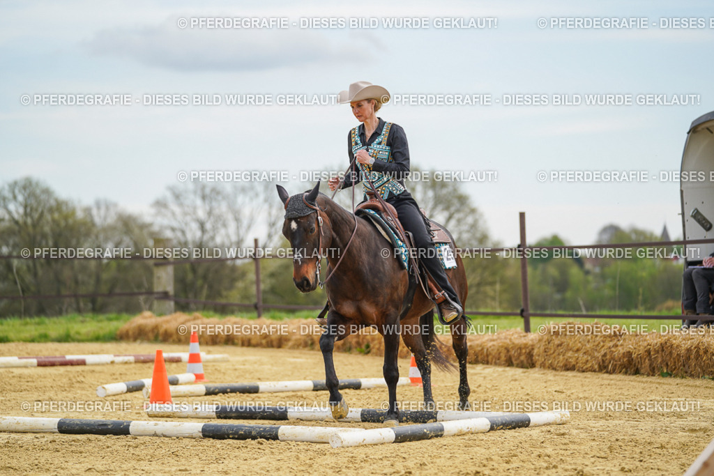 DSC03191 | Pferdegrafie