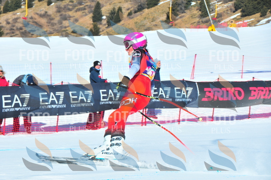 DSC_3651 | holidayphoto