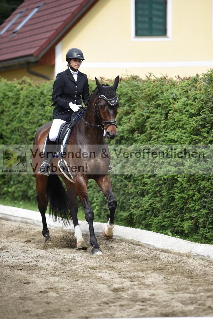 DSC_4437 | equestrian-live-com