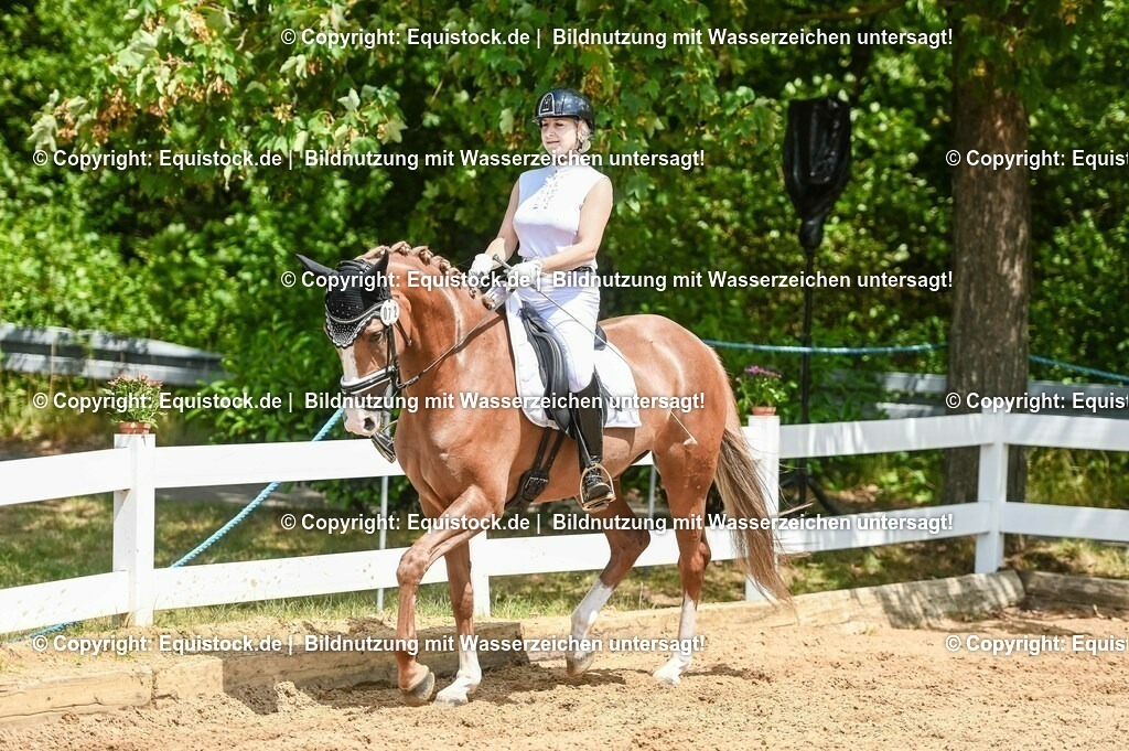 20230716_03_Dressurprfg. Kl.L - Tr._0474 | equistock
