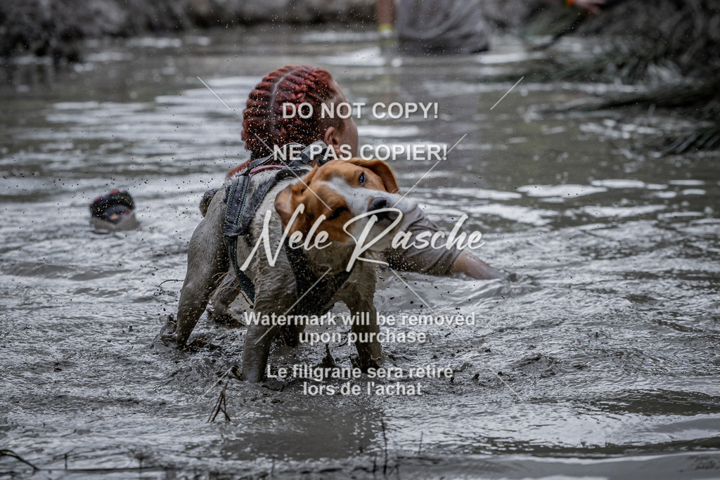 nelerasche_so1145-1230_329 | nelerasche