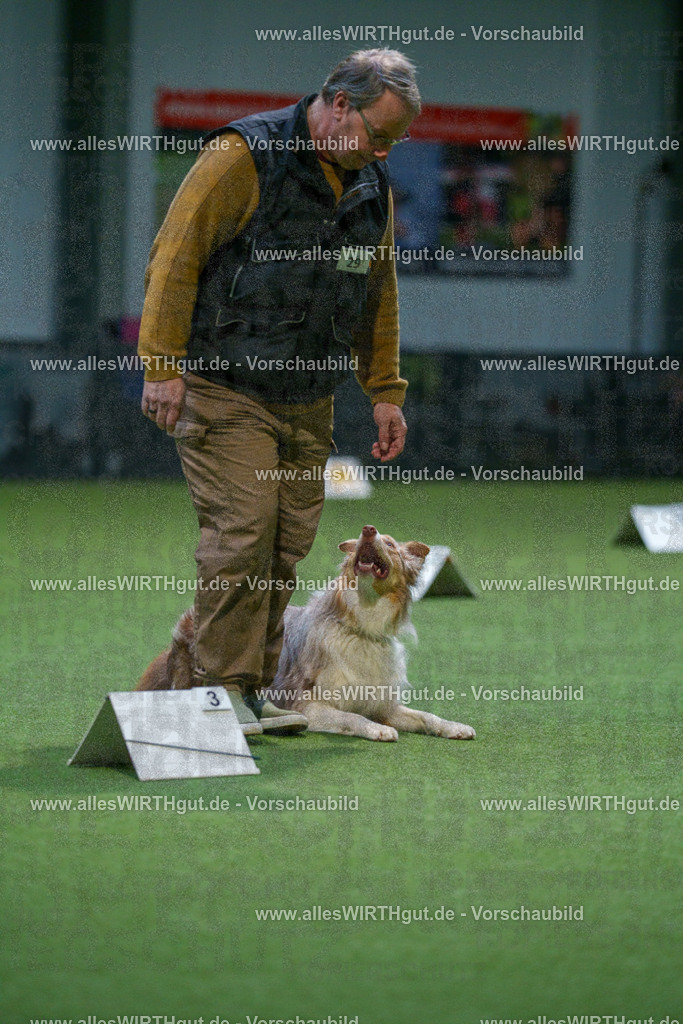 7R500531 | Professionelle Tierfotografie in Mönchengladbach von Daniel Wirth (allesWIRTHgut). Liebevolle & natürliche Bilder von Hunden & Katzen für unvergessliche Erinnerungen.