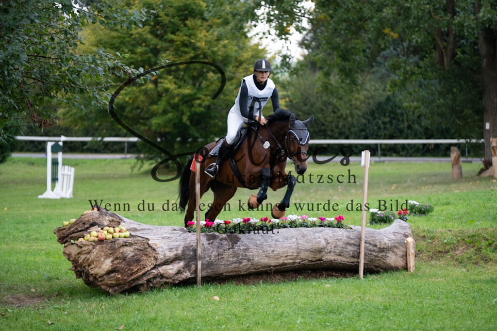 A7V02934 | Turnier/Reitfotograf