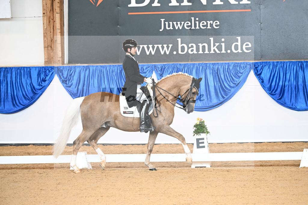Kat-Nr. 104 Nemo V NRW_Arroyo Penaranda_14241846 | hf-fotografie - Realisiert mit Pictrs.com