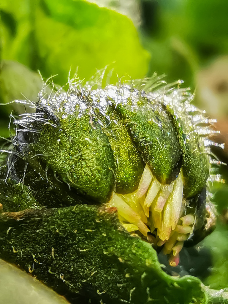 PSX_20230216_225326 | mtkfoto_ - Realisiert mit Pictrs.com