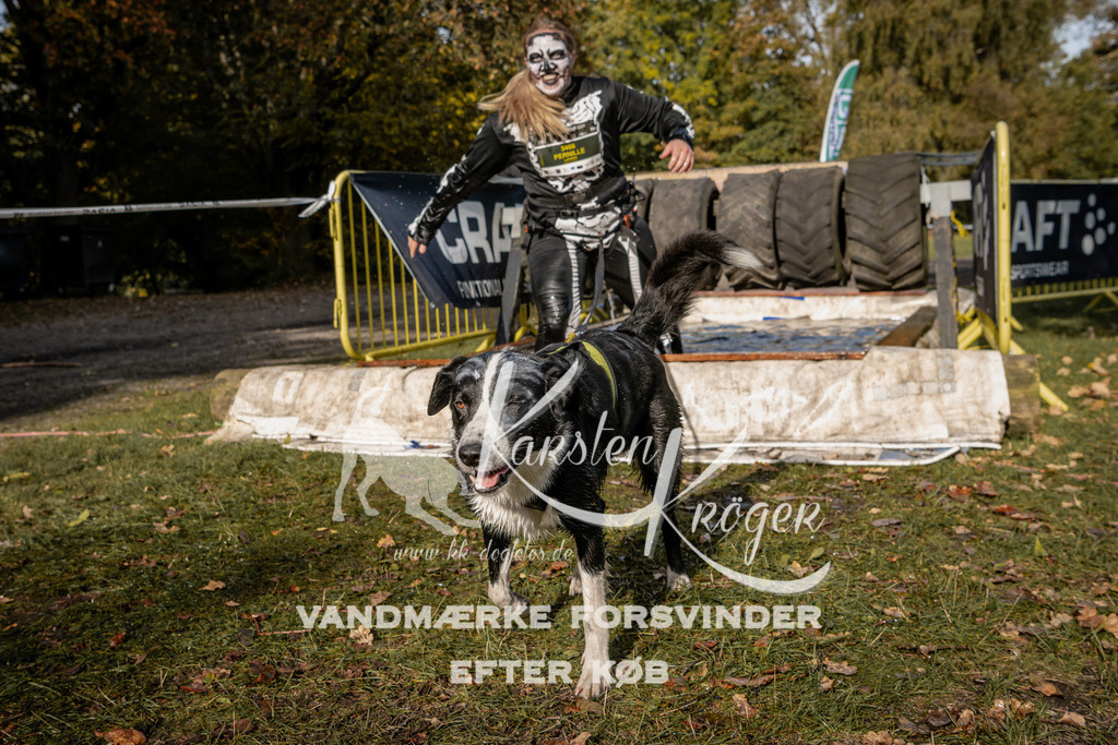 1348_ZZ93115 | kk-dogfotos