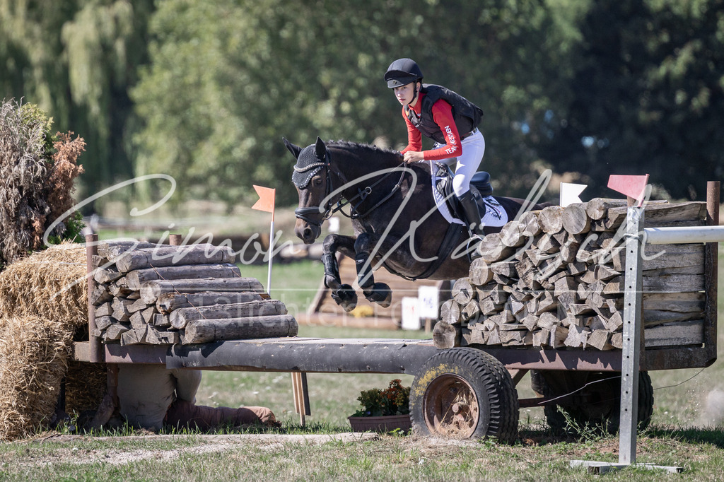 20260906-_3LI3431 | Tierfotografie Pferde, Hunde, Katzen, Haustiere.
Turnierfotografie Reitturniere, Reiten, Springreiten, Dressur in Hanau, dem Main-Kinzig-Kreis und dem Rhein-Main- Gebiet um Frankfurt