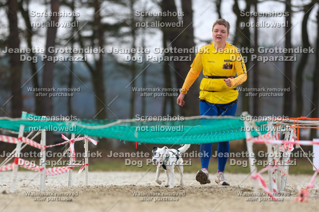 Dog Paparazzi - Strongdog North Mrz26-4589 | Dog Paparazzi Jeanette Grottendiek Fotografie & Videografie - Realisiert mit Pictrs.com