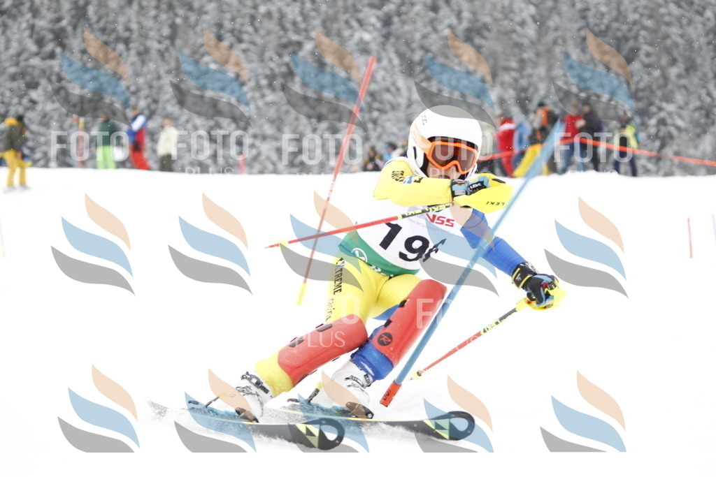 A2043 | holidayphoto