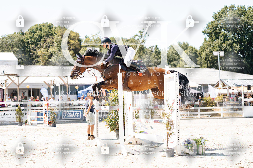 CK900121 | Turnierfotografie Pferdefotografie Trier Rheinland-Pfalz Pferdesport Reitsport Tierfotografie Sportfotografie Pferdevideo Pferdevideografie Equestrianvideography equestrianphotography  - Realisiert mit Pictrs.com