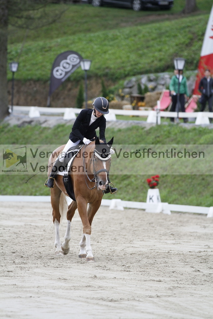 _MG_4042 | equestrian-live-com