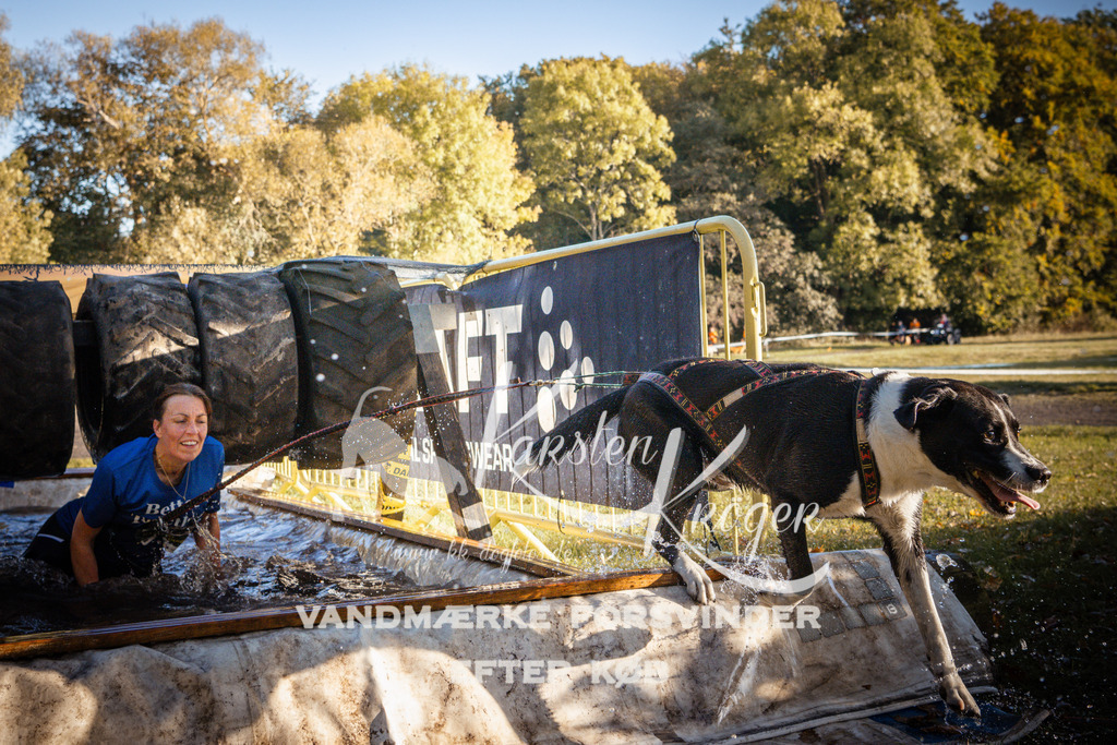 0926_ZZ90935 | kk-dogfotos