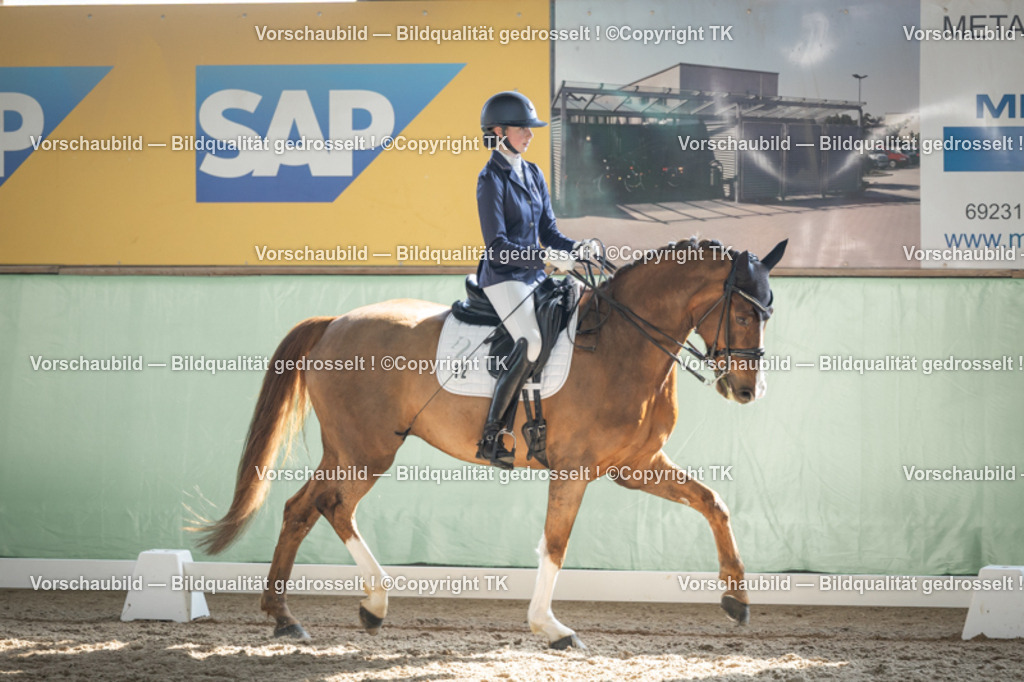 _D5A2620 | Emotionale Pferde- & People-Fotografie rund um Heidelberg, Leimen & Umgebung. Natürliche Fotos von Pferd, Mensch & Familie. Jetzt Termin sichern!