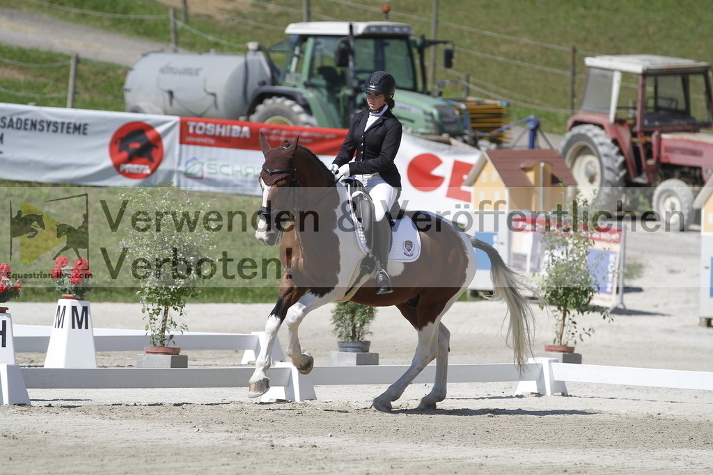 _MG_0393 | equestrian-live-com