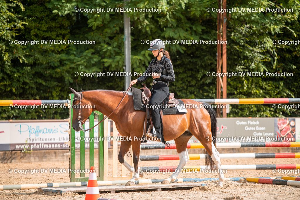 ZS2_7522 | dv-media-shop - Realisiert mit Pictrs.com