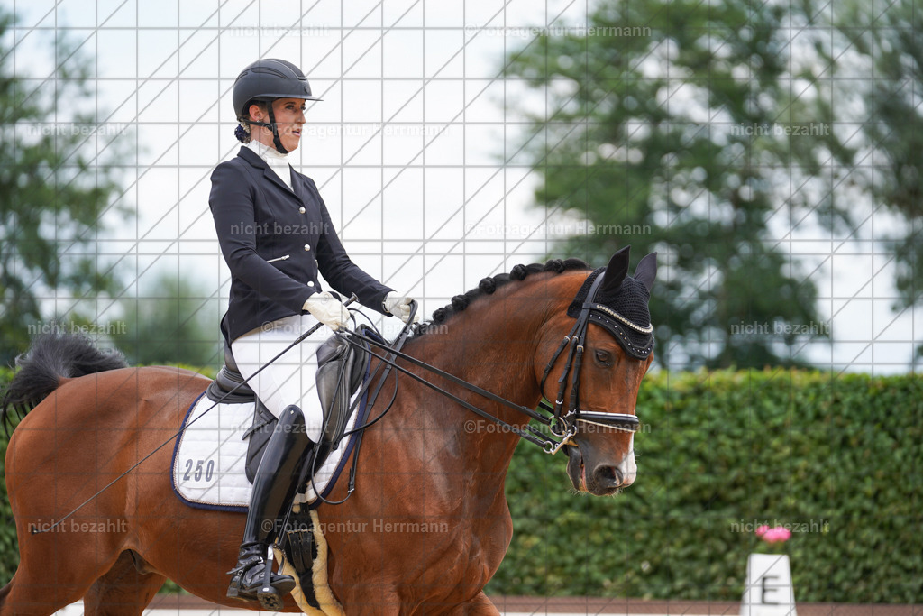 20240630-FAH02062 | Turnierbilder Schwabmünchen, Dressurbilder, Springreitturnier, Reitsportbilder, Turnierfotografen Bayern, Turnierfotograf