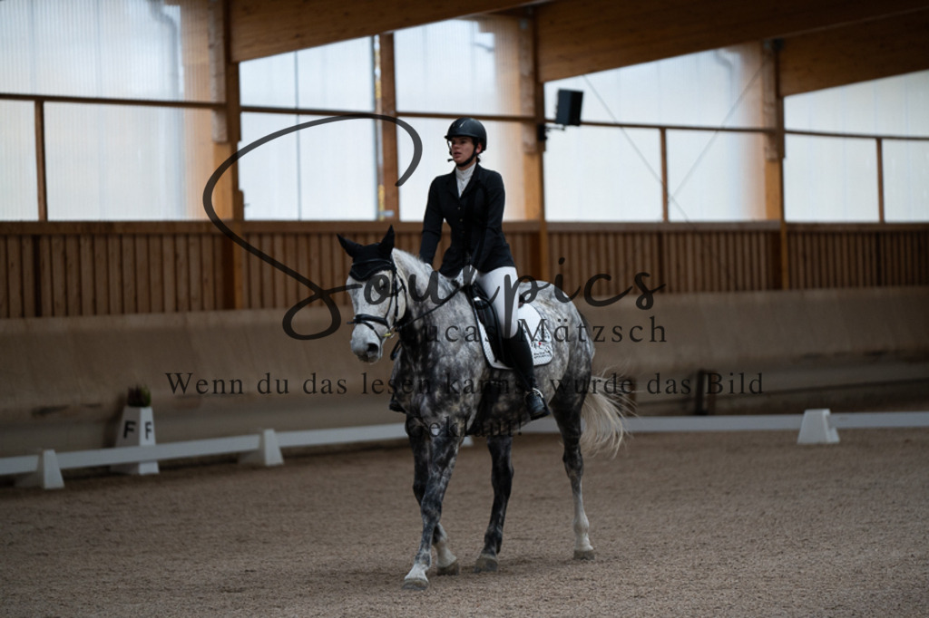 A7V02122 | Pferdefotograf