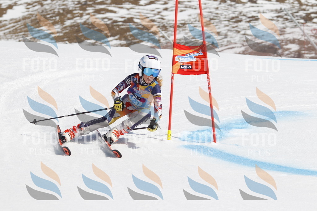 _U3G0717 | holidayphoto