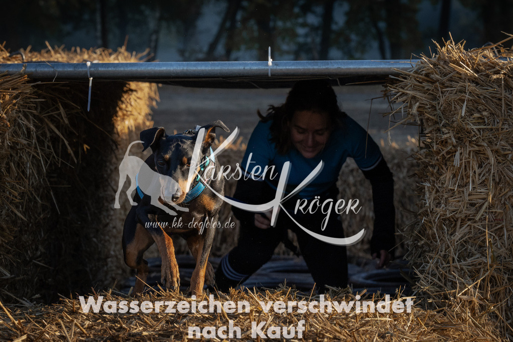 0919_ZZ92274 | kk-dogfotos