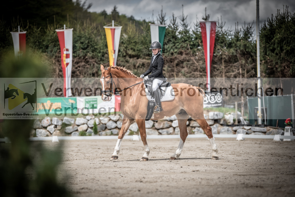 DSC_2766 | equestrian-live-com