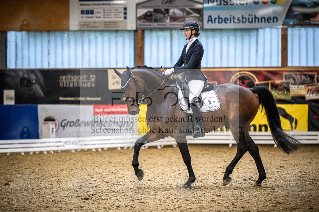 DOS_0277 | Entdecke hochwertige Reitturnierfotos von Foto Oger. Professionell, emotional und authentisch – jetzt Lieblingsmomente im Shop bestellen. - Realisiert mit Pictrs.com