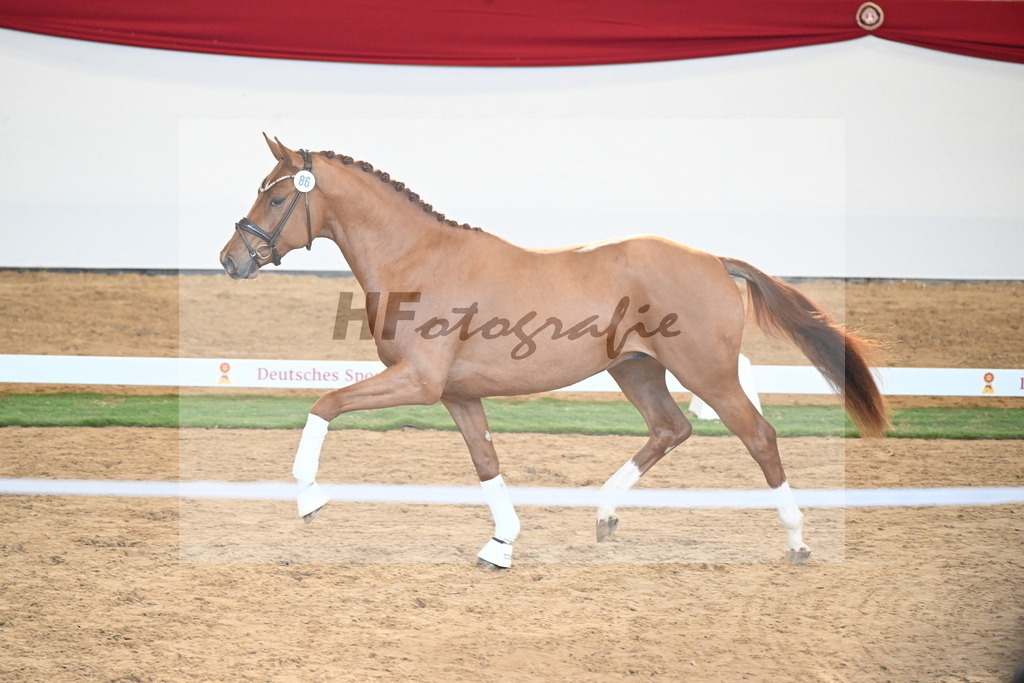 Kat.-Nr. 86 v. Vitalis_Bachinger_2250876 | hf-fotografie - Realisiert mit Pictrs.com
