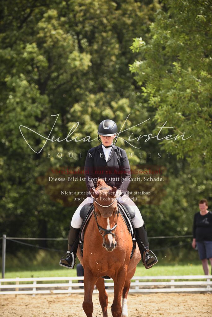 DSC_1161 | Pferde- und Turnierfotografie in Westsachsen. Pferdeportraits, Auftragszeichnungen und intuitive Kunst.