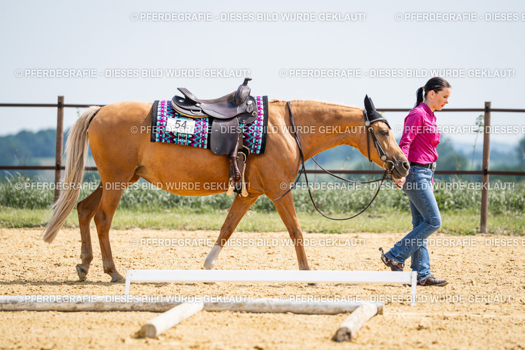 DSC00358 | Pferdegrafie